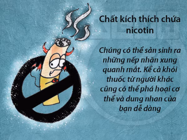 Xem thêm: Những lợi ích bất ngờ của quả lựu đối với sức khỏe