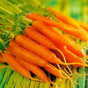 Cà rốt có nhiều chất bổ khác như các vitamin A, B, C, D, E, axit folic, kali và sợi pectin (giúp hạ cholesterol máu). Những nguyên tố như canxi, đồng, sắt, magiê, mangan, phốt pho, lưu huỳnh... có trong cà rốt đều ở dạng dễ hấp thu vào cơ thể hơn bất kỳ thuốc bổ nào. Xem thêm: Những điều cần tránh trước giờ đi ngủ Cà rốt có nhiều chất bổ khác như các vitamin A, B, C, D, E, axit folic, kali và sợi pectin (giúp hạ cholesterol máu). Những nguyên tố như canxi, đồng, sắt, magiê, mangan, phốt pho, lưu huỳnh... có trong cà rốt đều ở dạng dễ hấp thu vào cơ thể hơn bất kỳ thuốc bổ nào. Xem thêm: Những điều cần tránh trước giờ đi ngủ