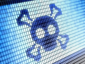 Ảnh minh họa. (Nguồn: Internet)