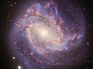 Ảnh minh họa. (Nguồn: Internet) Ảnh minh họa. (Nguồn: Internet)