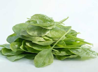 Rau chân vịt: Bạn đã bao giờ đến công sở mà tưởng như sắp kiệt sức sau một chuyến bay dài? Nếu điều đó xảy ra, bạn nên bổ sung thêm các loại rau xanh, đặc biệt là loại rau yêu thích của chàng thủy thủ Popeye. Rau chân vịt: Bạn đã bao giờ đến công sở mà tưởng như sắp kiệt sức sau một chuyến bay dài? Nếu điều đó xảy ra, bạn nên bổ sung thêm các loại rau xanh, đặc biệt là loại rau yêu thích của chàng thủy thủ Popeye.