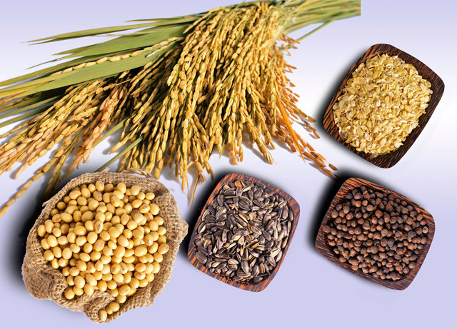 Ngũ cốc nguyên hạt: Các loại ngũ cốc chứa nhiều vitamin B, C, D, và E - một hỗn hợp có thể ngăn ngừa chứng co rút não liên quan đến bệnh Alzheimer. Trong một nghiên cứu 2012, các đối tượng được bổ sung đầy đủ các loại vitamin này sẽ có khả năng ghi nhớ tốt hơn. Ngũ cốc nguyên hạt: Các loại ngũ cốc chứa nhiều vitamin B, C, D, và E - một hỗn hợp có thể ngăn ngừa chứng co rút não liên quan đến bệnh Alzheimer. Trong một nghiên cứu 2012, các đối tượng được bổ sung đầy đủ các loại vitamin này sẽ có khả năng ghi nhớ tốt hơn.