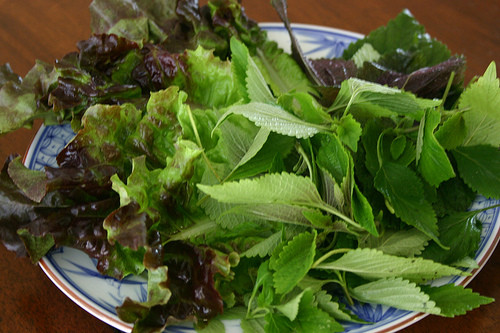 Ăn rau sống: Rau sống rất tốt cho sức khỏe vì khi chúng ta sử dụng không qua chế biến sẽ đảm bảo việc cung cấp đầy đủ các vitamin A, C, E , các khoáng chất và một số yếu tố vi lượng. Ăn rau sống: Rau sống rất tốt cho sức khỏe vì khi chúng ta sử dụng không qua chế biến sẽ đảm bảo việc cung cấp đầy đủ các vitamin A, C, E , các khoáng chất và một số yếu tố vi lượng.