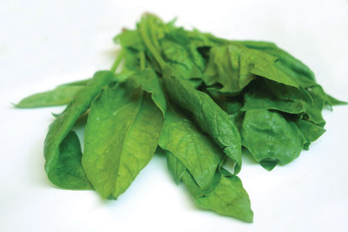 Cải bó xôi: Được xem là một trong những nguồn folate tốt nhất, giúp ngăn ngừa tình trạng sẩy thai, tim mạch, ung thư ruột kết và mất trí nhớ. Đây là loại rau cải đặc biệt tốt cho phụ nữ, giúp bảo vệ da trước tổn hại từ nhiệt độ và giảm nếp nhăn cũng như tình trạng da xù xì, thô ráp. Khẩu phần: 2-3 bữa/tuần. Xem thêm:Điểm danh những loại quả chữa trị bệnh "khó nói"