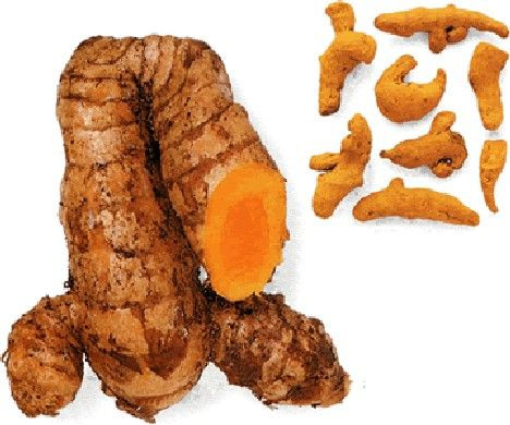 Nghệ: Đây là loại gia vị đặc trưng của món cary Ấn Độ với màu vàng tươi. Nghệ có tác dụng chống viêm nhiễm rất tốt. Nghệ còn giúp tăng cường sự trao đổi chất béo, cải thiện hệ tiêu hoá và khả năng khử độc của gan. Bạn có thể sử dụng nghệ trong các món cary, cơm hoặc xào với súp lơ và dầu ôliu.