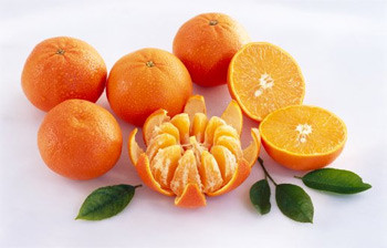 Khi quýt chín các chất này sẽ tập trung ở ngoài vỏ, chính vì vậy nếu ăn vỏ quýt cơ thể bạn sẽ phải chống trọi lại các độc tố và nhiều khả năng sẽ bị nhiễm độc nhẹ đối với người lớn, còn riêng với trẻ nhỏ hoặc những người có sức đề kháng yếu thì có thể gây ra hiện tượng tương tự như ngộ độc thực phẩm. Khi quýt chín các chất này sẽ tập trung ở ngoài vỏ, chính vì vậy nếu ăn vỏ quýt cơ thể bạn sẽ phải chống trọi lại các độc tố và nhiều khả năng sẽ bị nhiễm độc nhẹ đối với người lớn, còn riêng với trẻ nhỏ hoặc những người có sức đề kháng yếu thì có thể gây ra hiện tượng tương tự như ngộ độc thực phẩm.