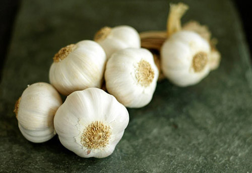 Tỏi: Là loại gia vị làm dậy mùi món ăn nhưng khi kết hợp với thuốc trị tiểu đường có thể gây giảm đường huyết trong máu đột ngột. Tỏi: Là loại gia vị làm dậy mùi món ăn nhưng khi kết hợp với thuốc trị tiểu đường có thể gây giảm đường huyết trong máu đột ngột.