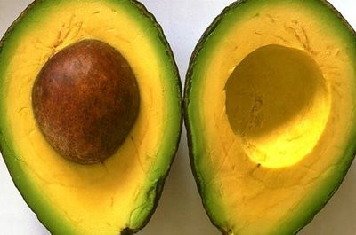 1. Quả bơ: Ngoài hàm lượng vitamin E cao, quả bơ rất giàu chất chống oxy hóa giúp bảo vệ làn da. Bơ giúp các tế bào da tái tạo nhanh chóng và trở nên tươi trẻ, khỏe mạnh với sự đàn hồi tốt hơn. Xem thêm: 10 thực phẩm cực tốt cho tim mạch của bạn 1. Quả bơ: Ngoài hàm lượng vitamin E cao, quả bơ rất giàu chất chống oxy hóa giúp bảo vệ làn da. Bơ giúp các tế bào da tái tạo nhanh chóng và trở nên tươi trẻ, khỏe mạnh với sự đàn hồi tốt hơn. Xem thêm: 10 thực phẩm cực tốt cho tim mạch của bạn