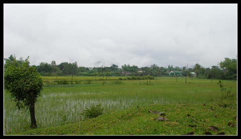 Mùa mưa lũ, ruộng đồng bỏ không Mùa mưa lũ, ruộng đồng bỏ không