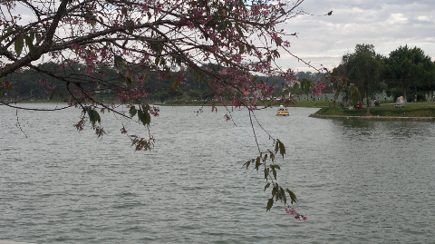 Lãng đãng một chiều nhớ Lãng đãng một chiều nhớ