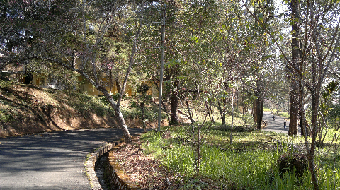 Những đường phố xưa... Những đường phố xưa...