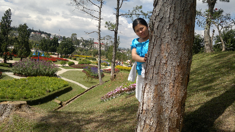 E lệ trong vườn hoa thành phố. E lệ trong vườn hoa thành phố.