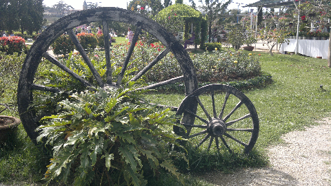 Bánh xe đồng vọng Bánh xe đồng vọng