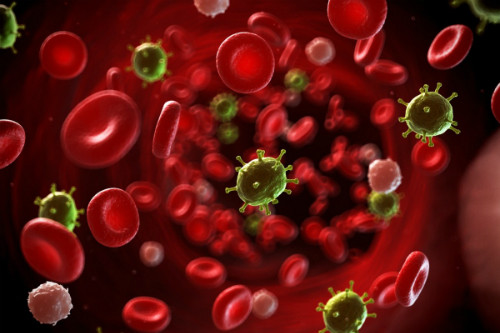 Ảnh: Health Ảnh: Health