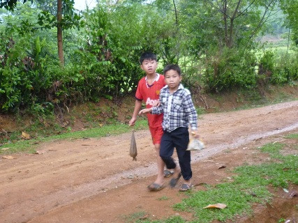 Hai cậu bé này đang trên đường đi bán số đỉa vừa bắt được cho tư thương đến bản mua. Hai cậu bé này đang trên đường đi bán số đỉa vừa bắt được cho tư thương đến bản mua.