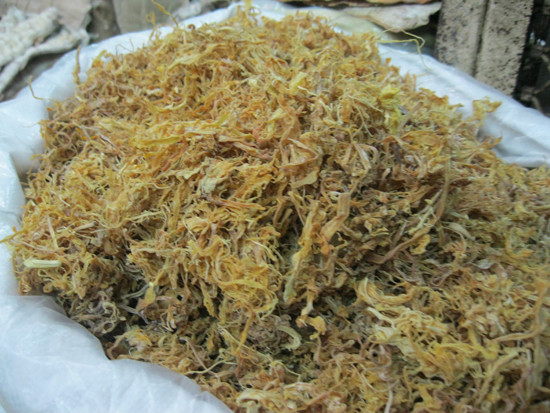 Khi được hỏi, hầu hết các loại măng khô được các chủ cửa hàng kinh doanh buôn bán đều khẳng định là lấy măng của "mối quen" nhưng hoàn toàn không biết quy trình chế biến và bảo quản những loại măng này như thế nào.