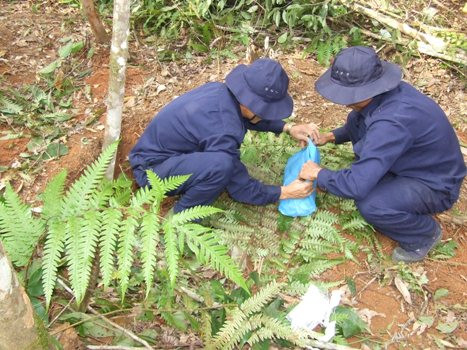 Với sự quý trọng, tôn kính và nhiệm vụ thiêng liêng được giao phó những người "bộ đội con" đã vượt qua khó khăn, vất vả, nguy hiểm để đưa các hài cốt "bộ đội cha" về nước sau hàng chục năm nằm lại nơi xứ người