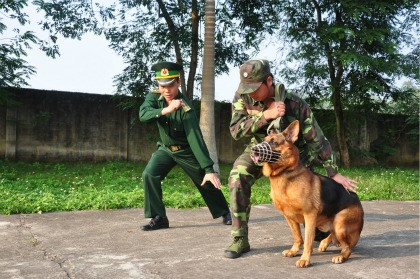 Cùng nhau luyện rèn.