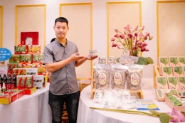 Khát khao làm giàu trên quê hương, chàng trai Ninh Bình tìm lối ra, nâng giá trị cho củ sen