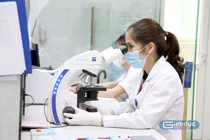 ĐBQH, nhà khoa học kỳ vọng vào cơ chế, chính sách vượt trội của Hà Nội để thu hút người tài năng