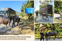 Xã Đức Long chú trọng tuyên truyền nhằm thay đổi nhận thức để hộ nghèo tự lực vươn lên 