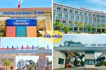 Sáp nhập 2 trường cao đẳng y tế vào 2 trường đại học y dược