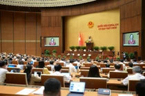 Toàn cảnh phiên họp sáng ngày 24/6. Ảnh: Media Quốc hội.