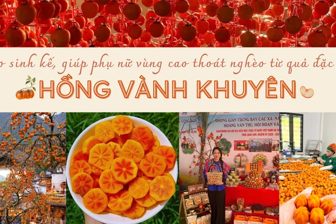 Chuyển đổi số - “đòn bẩy” nâng tầm giá trị đặc sản hồng vành khuyên xứ Lạng, tạo sinh kế bền vững