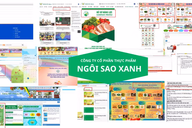 Hà Nội: Trường học phê duyệt Công ty thực phẩm Ngôi Sao Xanh trúng thầu công khai thông tin ra sao?
