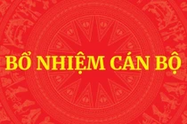 Thủ tướng quyết định bổ nhiệm lãnh đạo một số bộ, cơ quan
