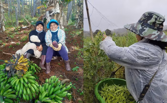 Hình ảnh bà con với mô hình canh tác xanh, an toàn để cải thiện cuộc sống gia đình và góp phần phát triển kinh tế cho địa phương.