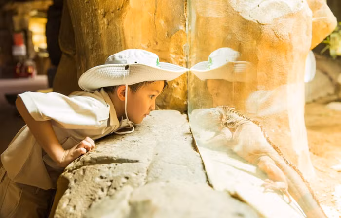 Những trải nghiệm thực tế cùng động vật đang trở thành lựa chọn được nhiều gia đình ưu tiên trong mùa hè.