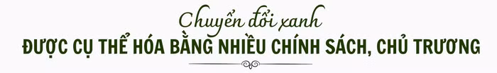 thum1-nt.png