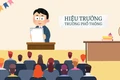 Ảnh mang tính minh họa, nguồn: Hcpharmacy.org)
