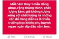 Áo đồng phục kiểu dáng polo. (Ảnh: MXH)