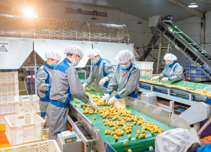 Nhà máy sản xuất ô mai của Công ty Cổ phần Hồng Lam. Ảnh: Website công ty. hehebatch-nha-may-o-mai-1-1921.png