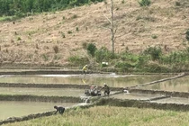 Chuyển từ “cho không” sang hỗ trợ có điều kiện, xã Ea Trang giảm nghèo hiệu quả