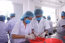 Điểm chuẩn ngành Đảm bảo chất lượng và an toàn thực phẩm dao động từ 15-22 điểm
