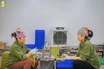 Hợp tác xã sản xuất sản phẩm xanh, tạo thu nhập, việc làm cho người lao động địa phương