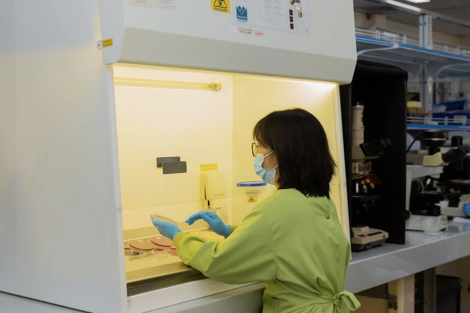 Từ phòng thí nghiệm đến học bổng DAAD ở Đức của cô gái đam mê nghiên cứu khoa học