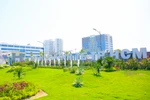 Số lượng giảng viên chênh lệch trong biểu mẫu, Đại học Kinh tế TPHCM lý giải ra sao?
