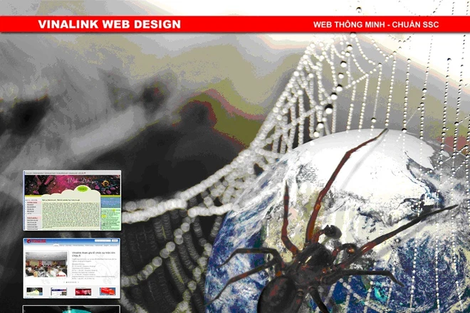 Kinh nghiệm thiết kế web hiệu quả cho doanh nghiệp 