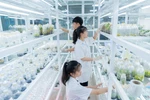 Gỡ điểm nghẽn thể chế, thúc đẩy thương mại hóa kết quả nghiên cứu