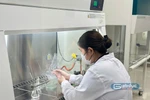 Tổ hợp, chỉ tiêu xét tuyển ngành Công nghệ vật liệu ở 3 miền Bắc -Trung - Nam