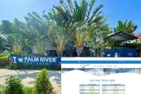 Palm River Hội An tuyển sinh, dạy như CSGD: Phường Hội An Đông báo cáo Sở GD Đà Nẵng