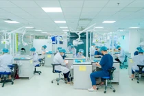 Sinh viên Răng Hàm Mặt thực hành trên phantom. Ảnh: HIU.