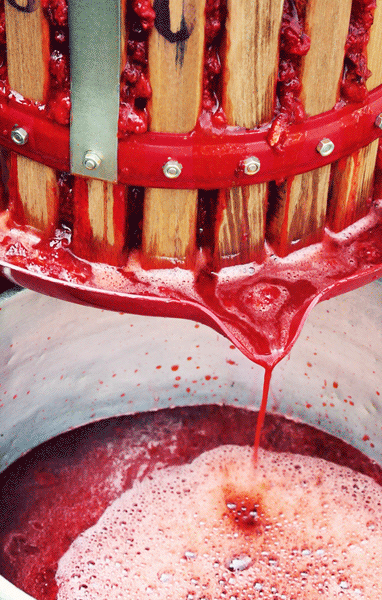 Công việc khá mệt nhọc, nhưng rất thú vị, các bạn có thể ngay lập tức thấy thành quả nước ép dâu đỏ tươi chảy xuống bồn đặt phía dưới. Thông thường, để ép xong 1 mẻ dâu cũng phải mất tới gần 2 tiếng đồng hồ. Công việc khá mệt nhọc, nhưng rất thú vị, các bạn có thể ngay lập tức thấy thành quả nước ép dâu đỏ tươi chảy xuống bồn đặt phía dưới. Thông thường, để ép xong 1 mẻ dâu cũng phải mất tới gần 2 tiếng đồng hồ.