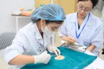 Chuyên gia cảnh báo tình trạng "trường trường mở đào tạo Y" có thể gây rủi ro cho hệ thống y tế