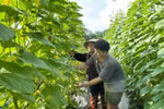 Xã Nghĩa Đô đã triển khai đồng bộ các chương trình, dự án giảm nghèo, hỗ trợ sinh kế. Ảnh: NVCC.