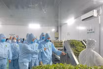 Để thu hút SV có năng lực vào học nông-lâm-thủy sản: Chính sách học phí không nên áp dụng tràn lan